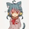 Kitten