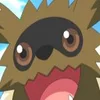 Zigzagoon