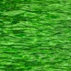 Green_Water